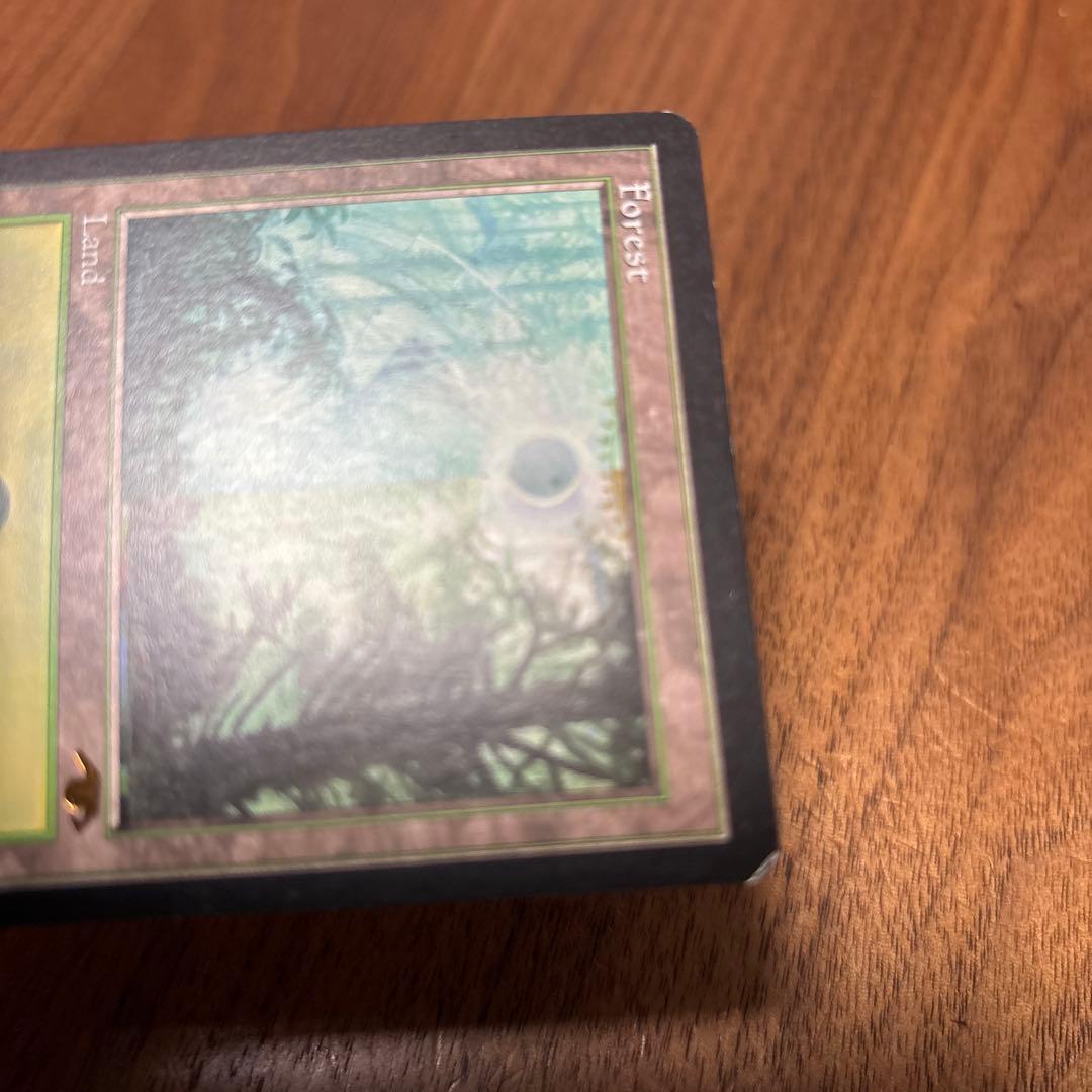 Guruランド グルランド 森 forest guru land