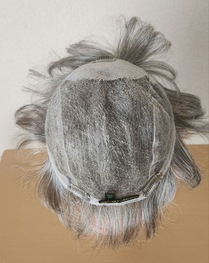 プー NAO-ART ナオ アート シルバーヘア ウィッグ ART 6-0