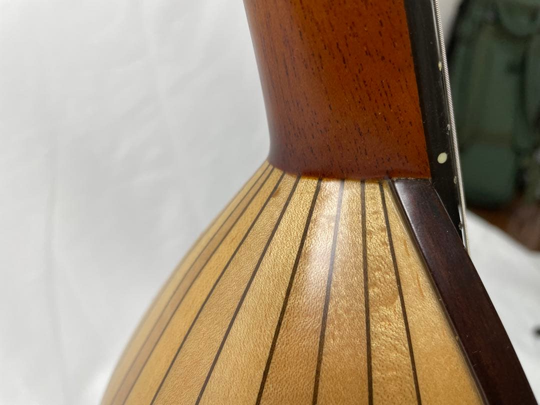 嶋田/エンジェルマンドリン モデル:LO