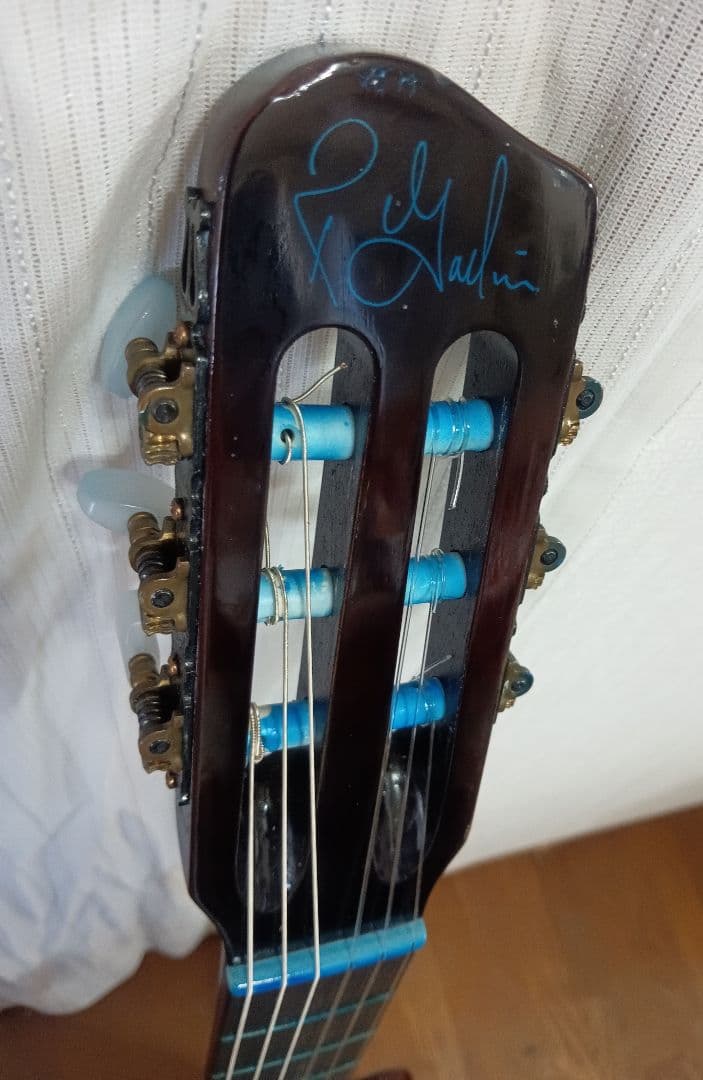 Godin Multiac エレアコ・オーシャンブルー仕立て