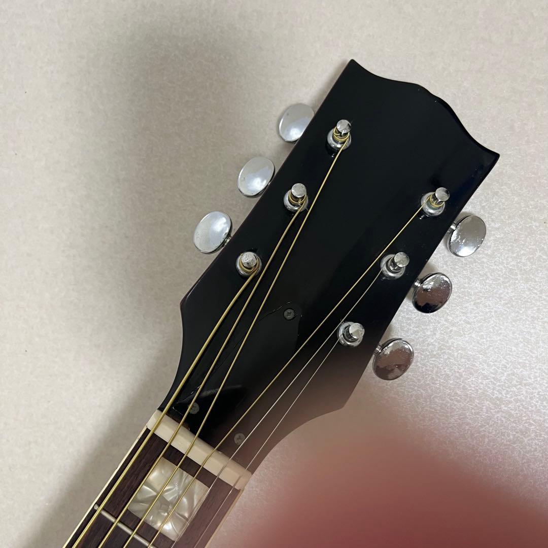 希少 Maya ハミングバード 日本製 マヤ アコースティックギター アコギ