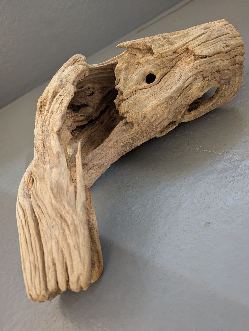 流木 約50cm 自然な形状　ビーチコーミング　アート素材　爬虫類　テラリウム