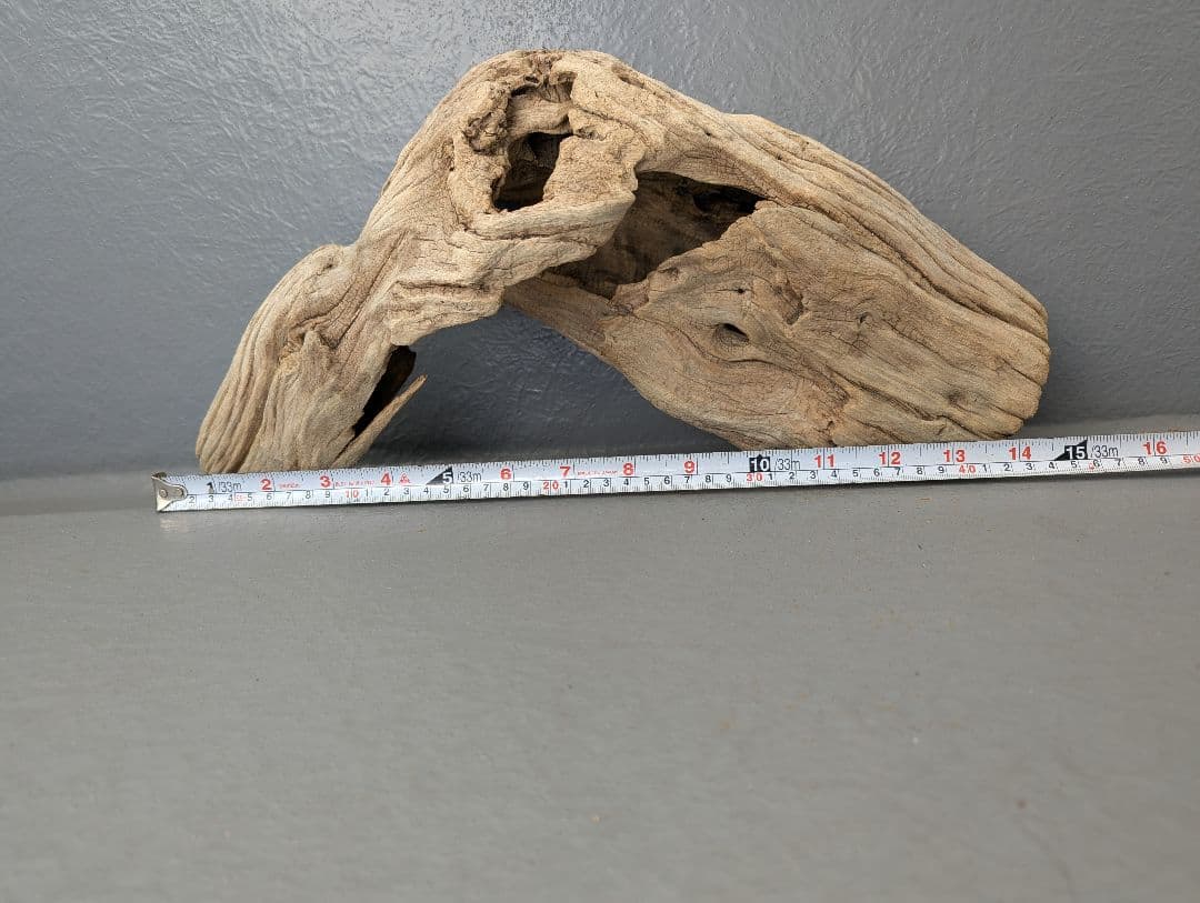 流木 約50cm 自然な形状　ビーチコーミング　アート素材　爬虫類　テラリウム