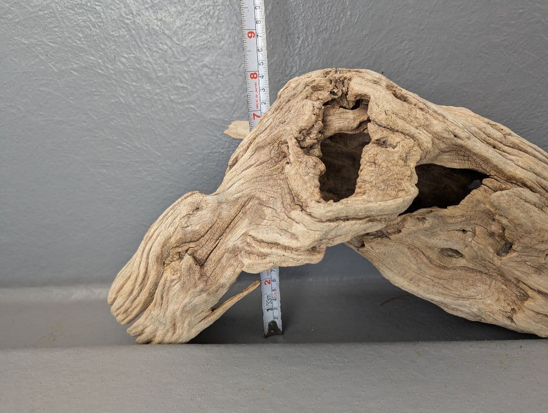 流木 約50cm 自然な形状　ビーチコーミング　アート素材　爬虫類　テラリウム