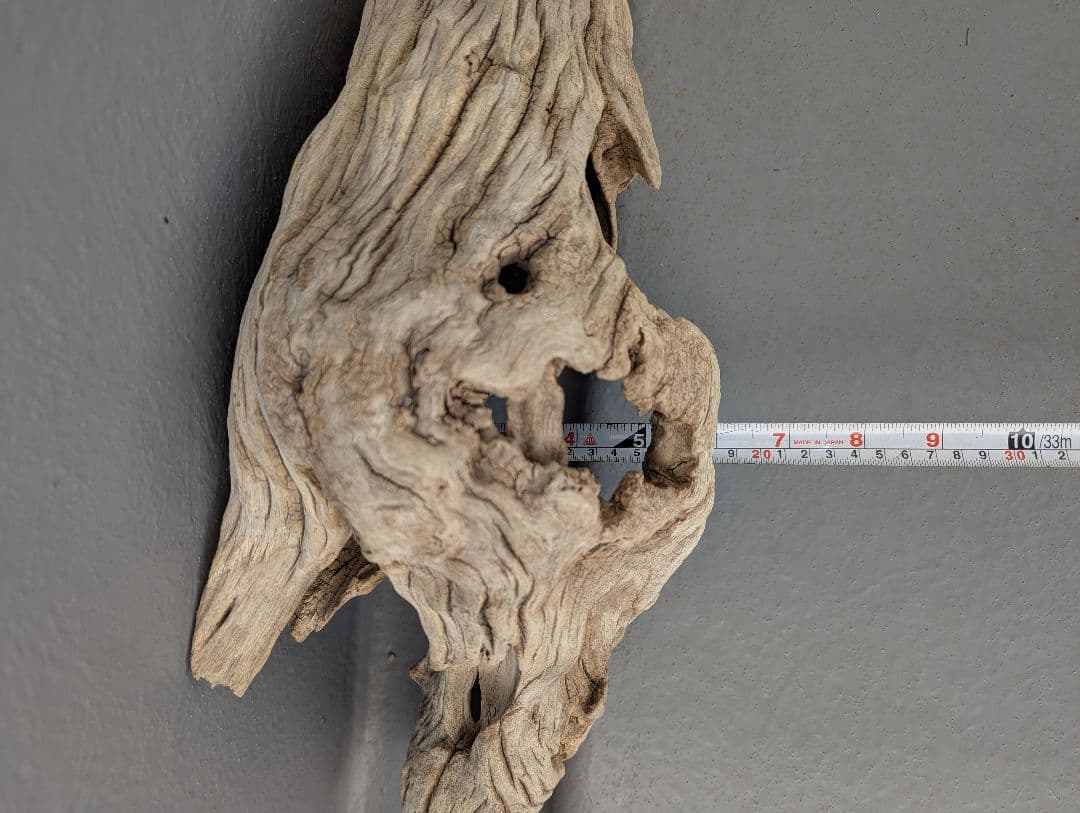 流木 約50cm 自然な形状　ビーチコーミング　アート素材　爬虫類　テラリウム