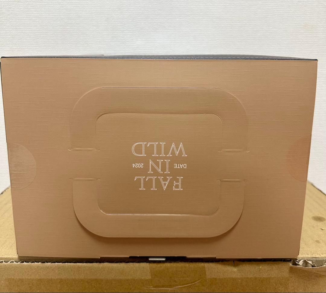 POP MART FALL IN WILD THE MONSTERS ラブブ