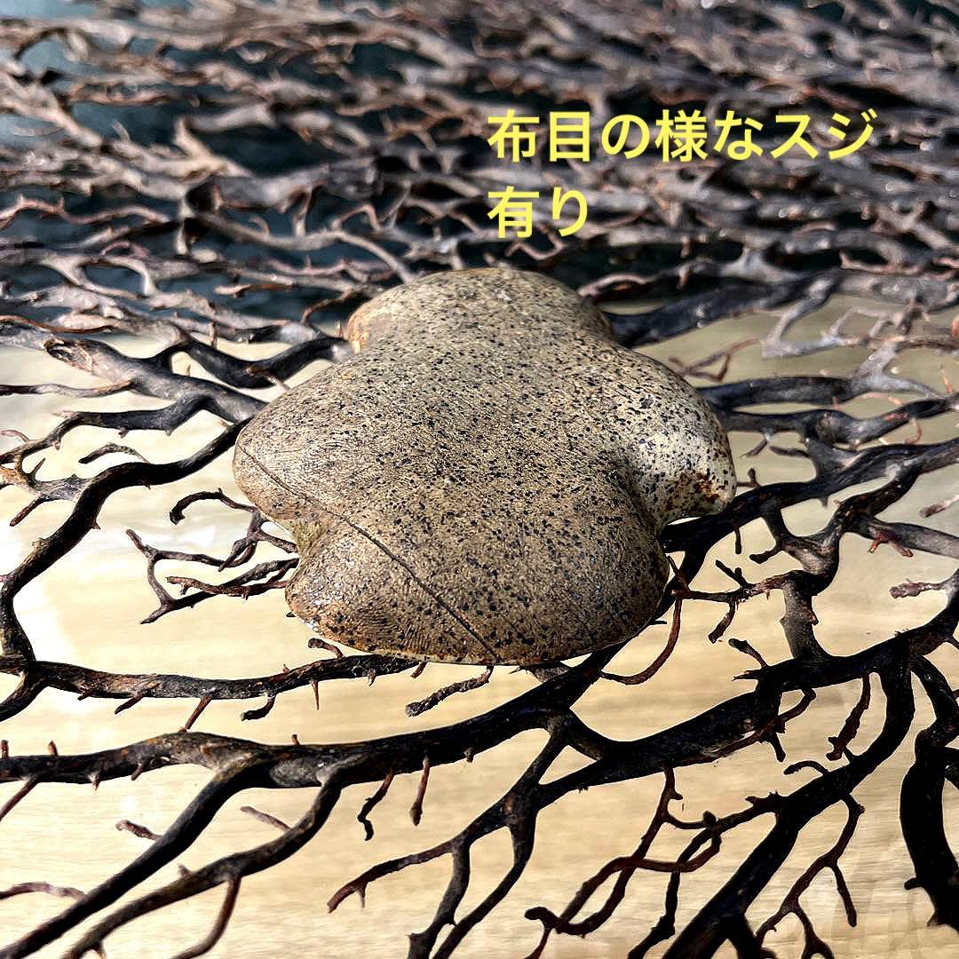 骨董　古陶　希少 まひこ 舞子焼　千鳥型　豆皿　小皿　茶道具　１客限り