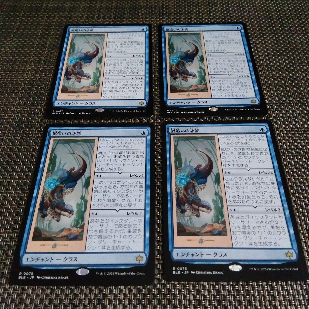 嵐追いの才能 日本語4枚セット