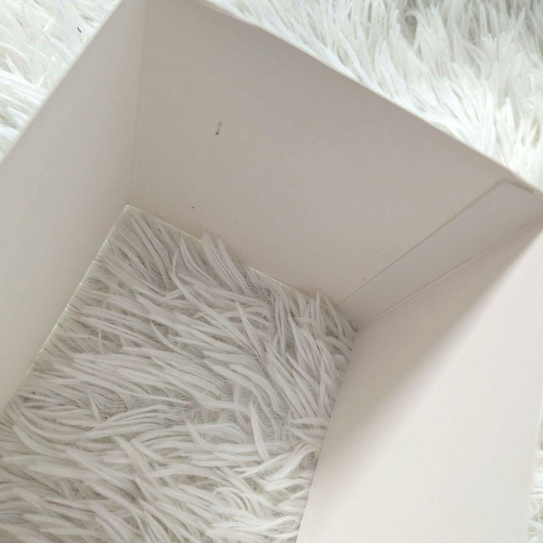 極美品2022年顧客限定 シャネル CHANEL N°5 スノードーム vic