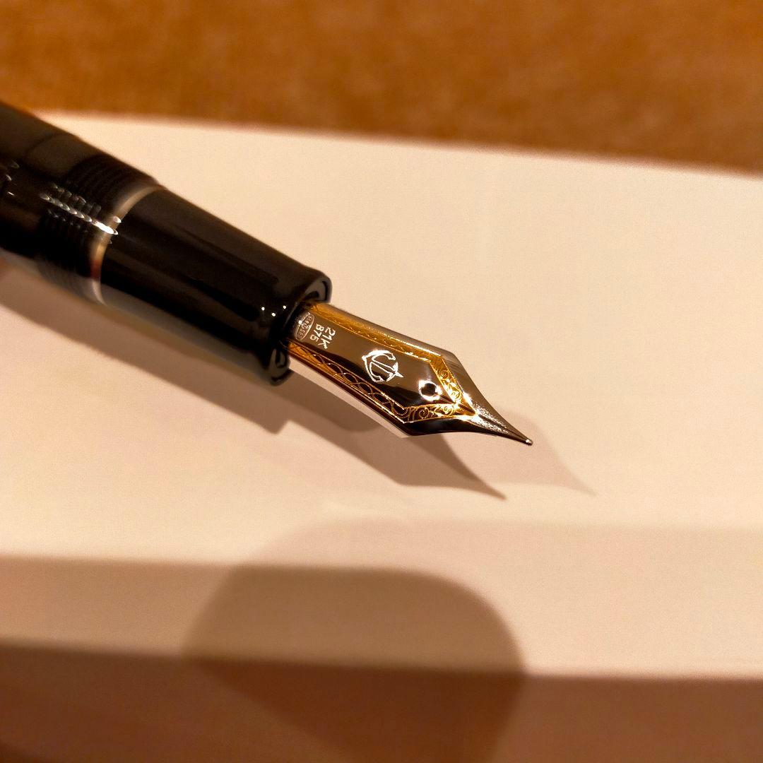 新品・未使用Sailor万年筆インク付プロフェッショナルギア銀