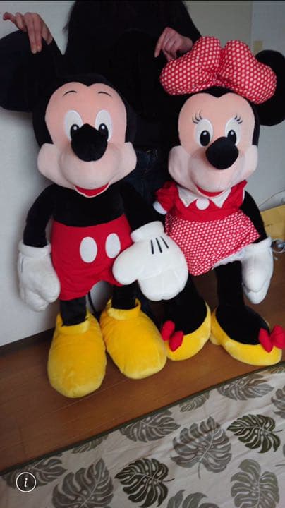 ディズニー ミッキー ぬいぐるみ