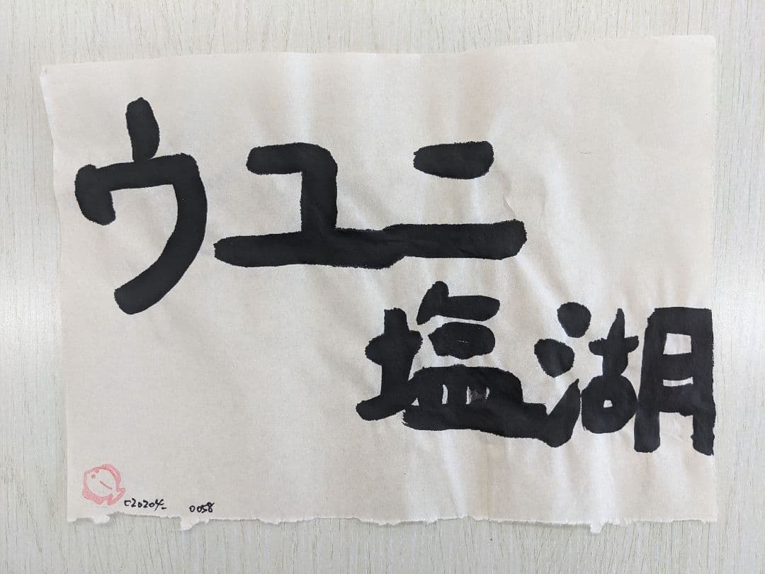 ウユニ塩湖 mtd0058 flk020204