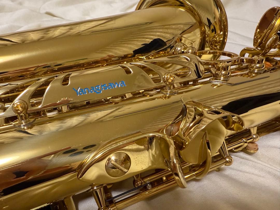 管楽器・吹奏楽器 YANAGISAWA a-wo1