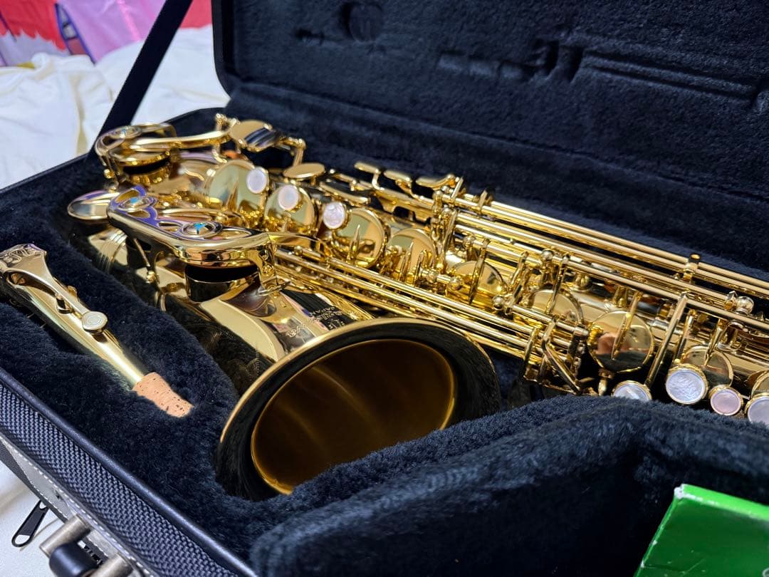 管楽器・吹奏楽器 YANAGISAWA a-wo1