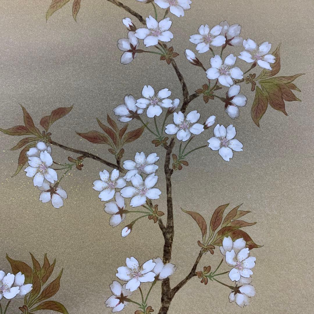 美品 掛け軸 柳沢寿江作 春宵図 桜 共箱 太巻き 縁起物