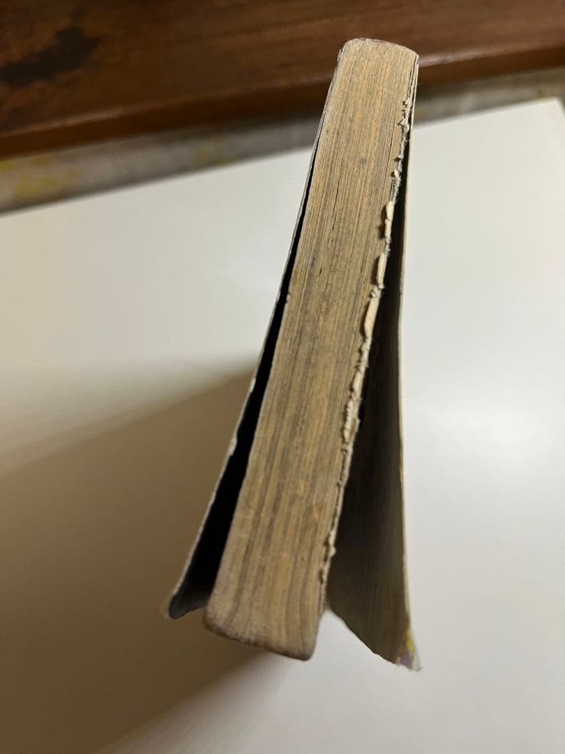 Boys Over Flowers 花より男子 英語版　1-12巻セット