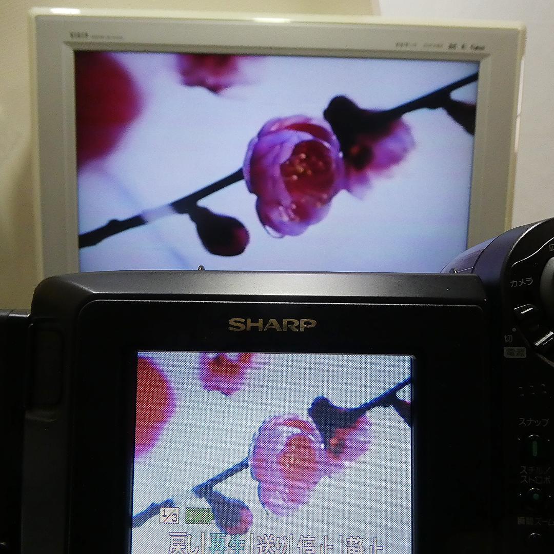 動作良好　シャープVideoHi8 VL-HL15 8ミリビデオカメラDVD化に