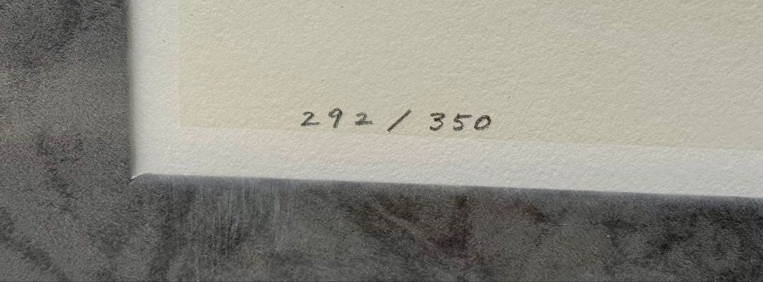 天野喜孝 版画＊運送手配できる方（引取り）限定＊グイン・サーガ