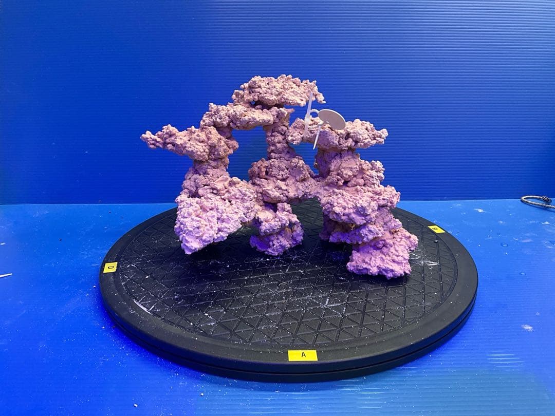 人工ライブロック　No.9-9 無害化処理済