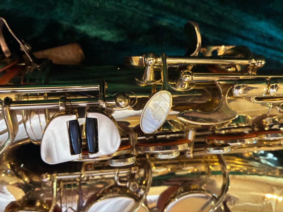 アルトサックス本体 ケース付　リード付　すぐ吹けます