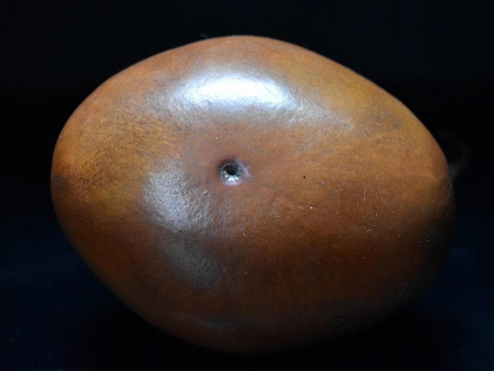 【匏】　★ 匏器 文玩葫芦 ★　清朝期　長頸 茎付 経年色艶　文房珍玩