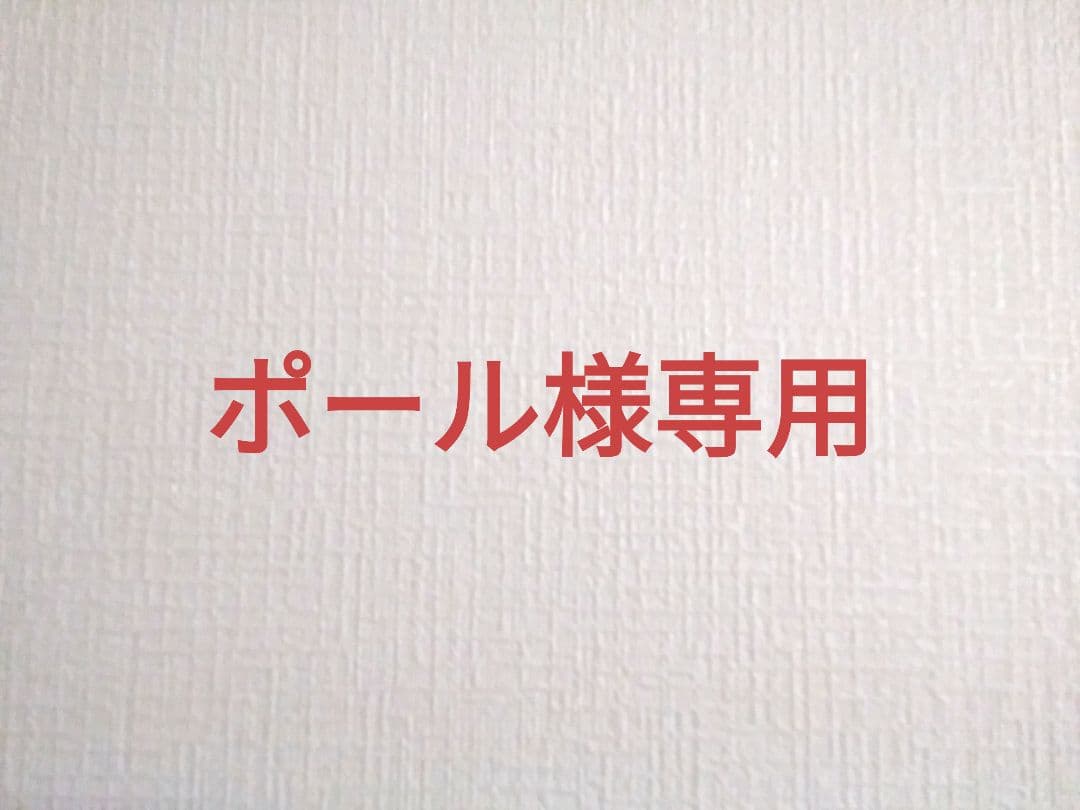 オーダーメイド　アクリルケージ