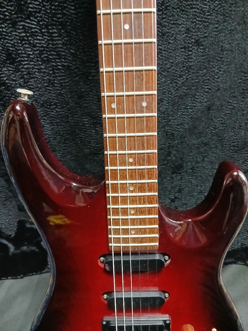 AriaproIIMAGNA Shires 中古ソフトケースシールドストラップ付