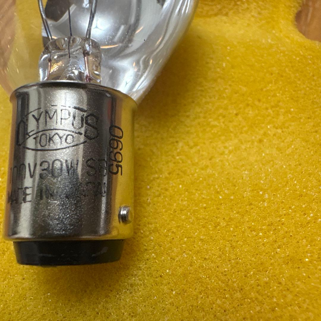 オリンパス　100V-30WSB 0695 タングステンランプ　7個セット