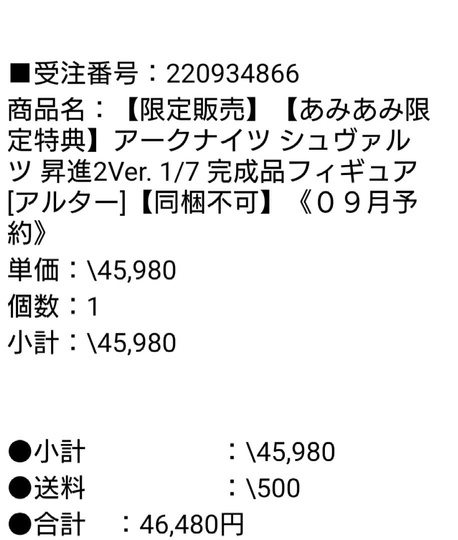 【あみあみ特典付】アークナイツ シュヴァルツ 昇進2 フィギュア Alter