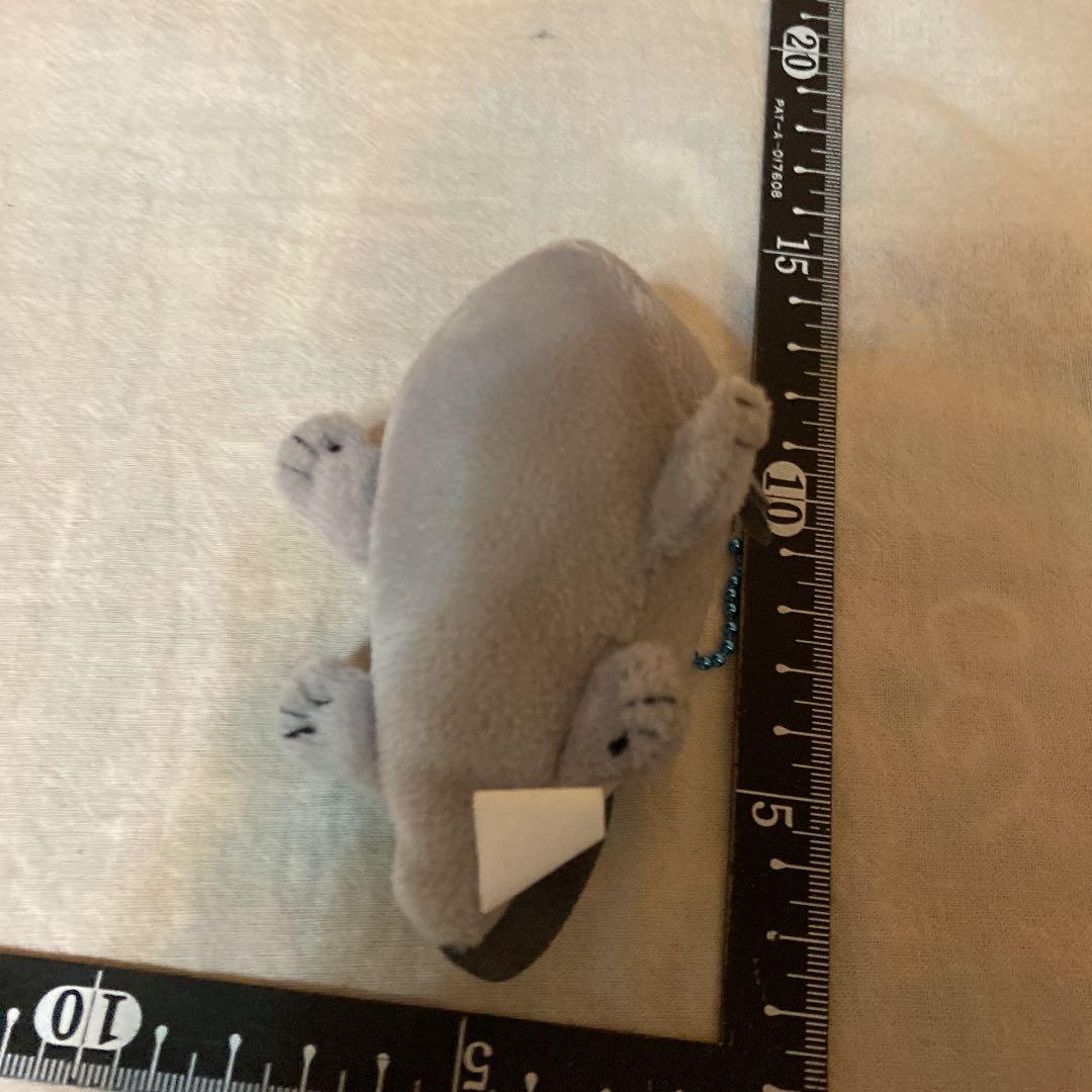 ぬいぐるみ　ウーパールーパー　グレー　キーホルダー