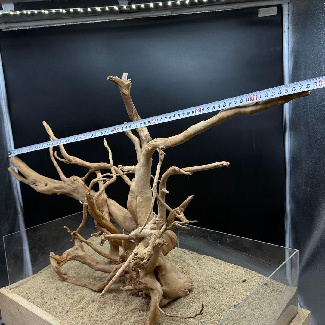 MDW-7122 特大ブランチウッド2本セット　流木　枝流木　アクアリウム