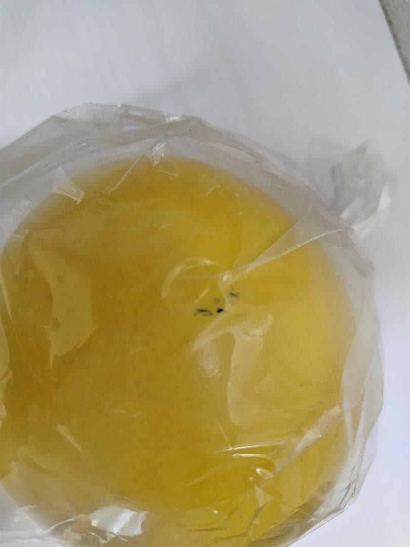 トゥイーティー　フィギュア