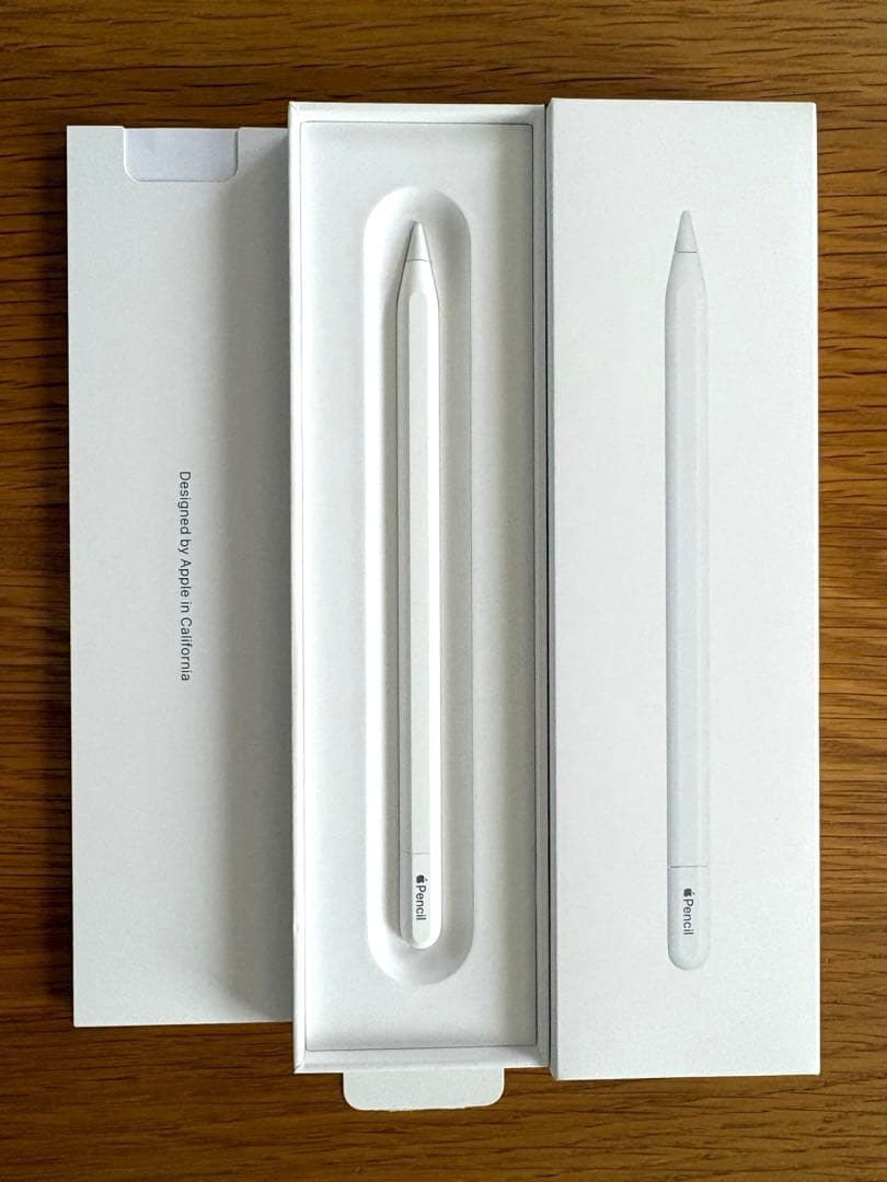 iPadアクセサリー Apple Pencil (USB-C)