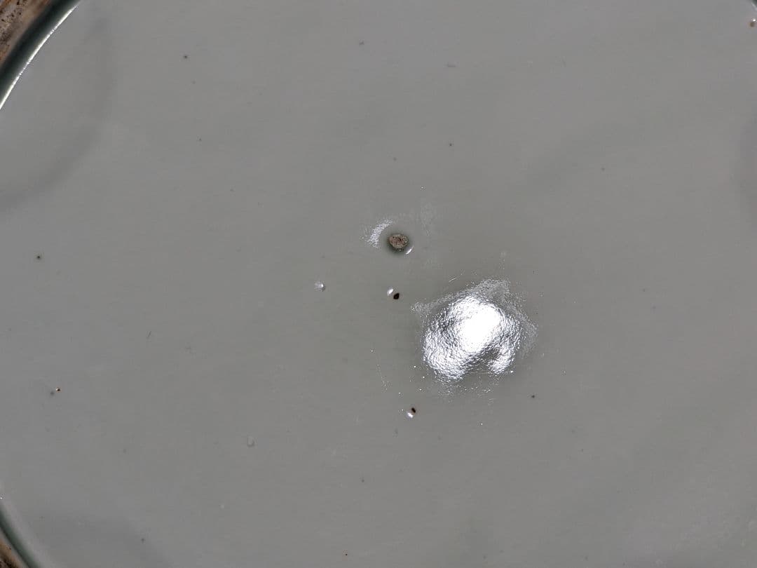 ♦江戸時代 1700年 古伊万里 染付 花唐草 龍紋様 輪花大皿 干支飾り縁起物