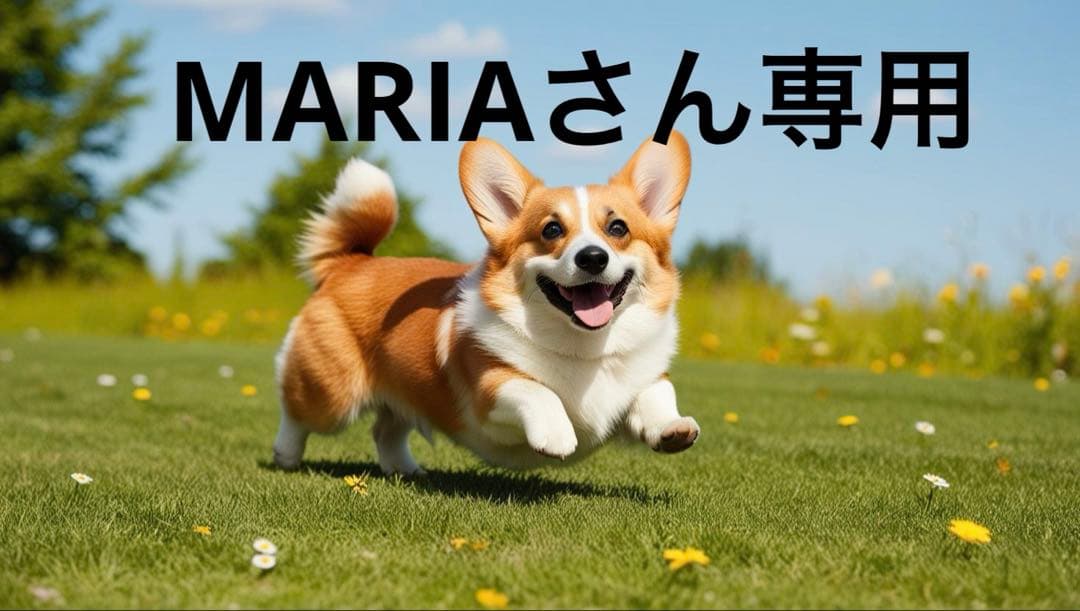その他 MARIA