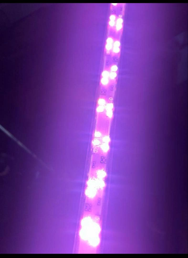 [minila/ASK] 煌LED水中LEDライト　120センチ