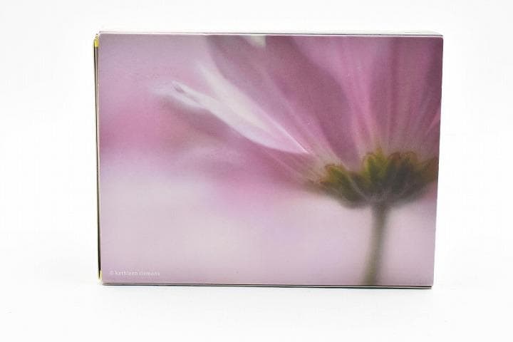 15258E ★新品★ レンズベビー 56mm F1.6 LENSBABY