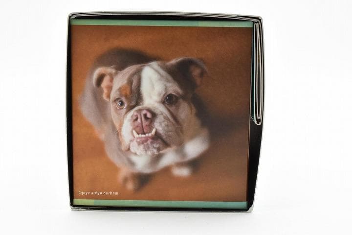 15258E ★新品★ レンズベビー 56mm F1.6 LENSBABY