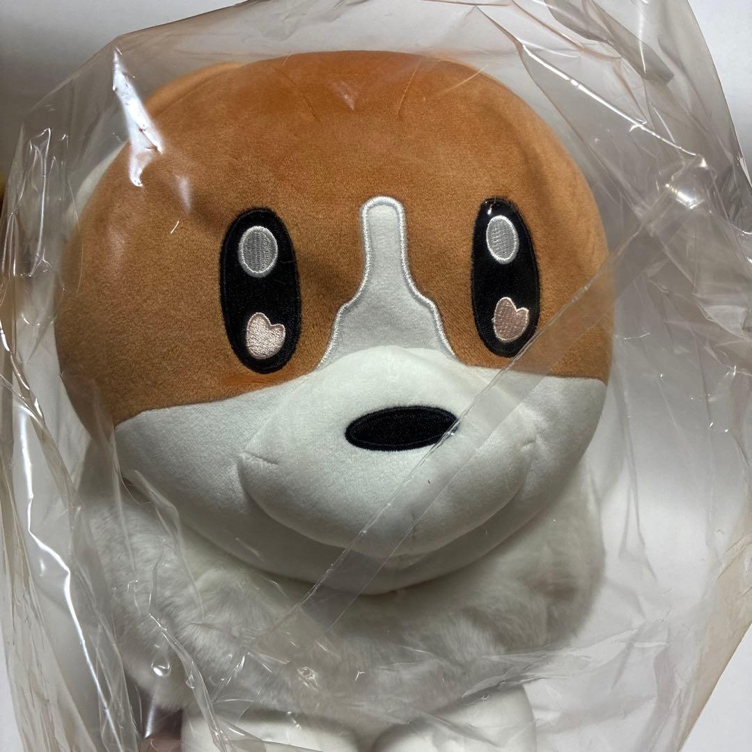 【期間限定】ヨルシカ コーギー ぬいぐるみ suisデザイン 前世 完全受注生産