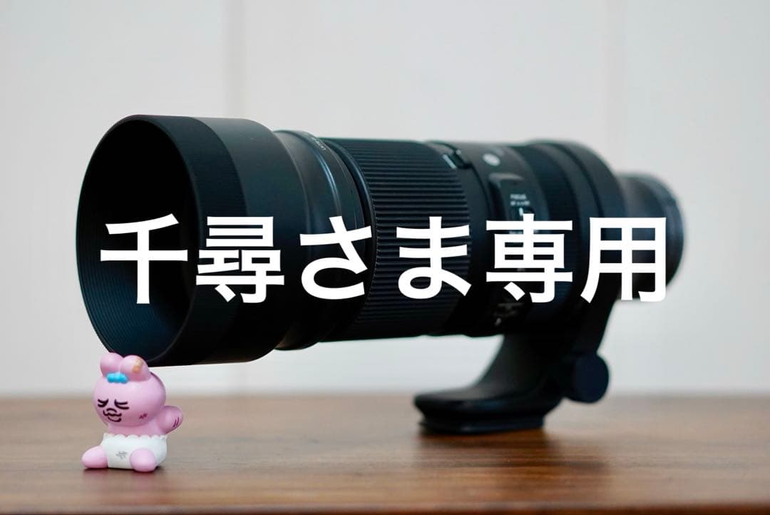 レンズ(ズーム) SIGMA 100-400mm F5-6.3 DG DN OS