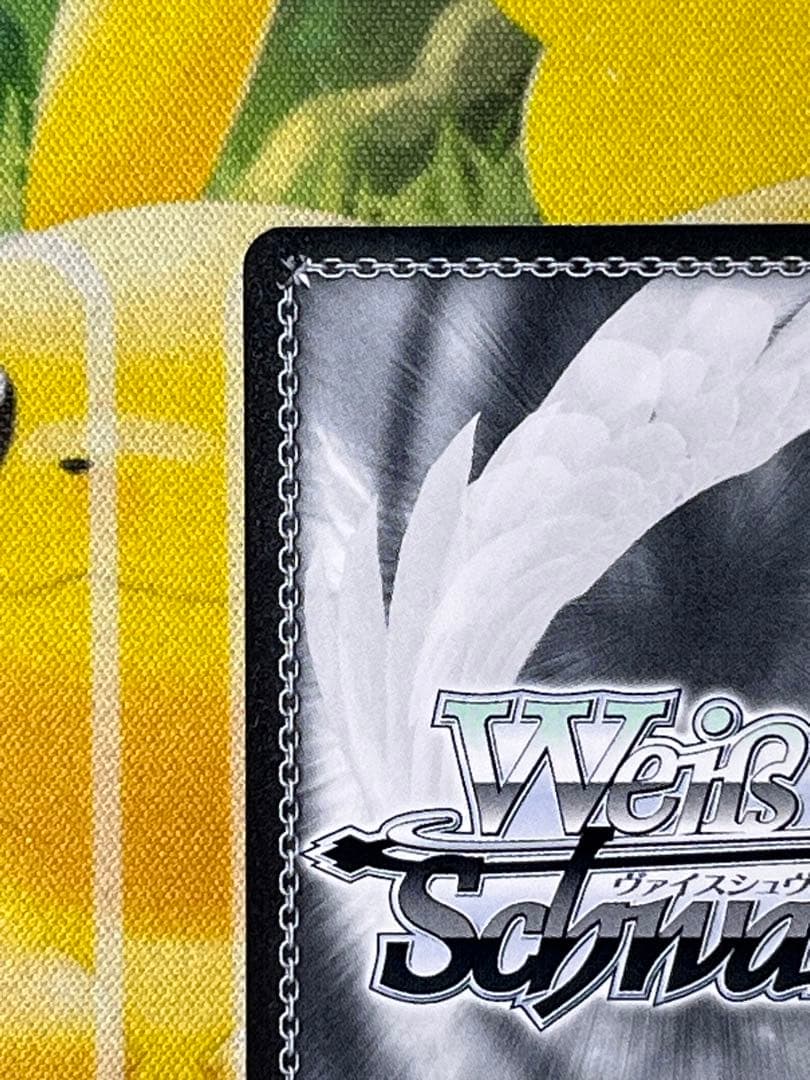 猫に魅せられた少女　羽川翼