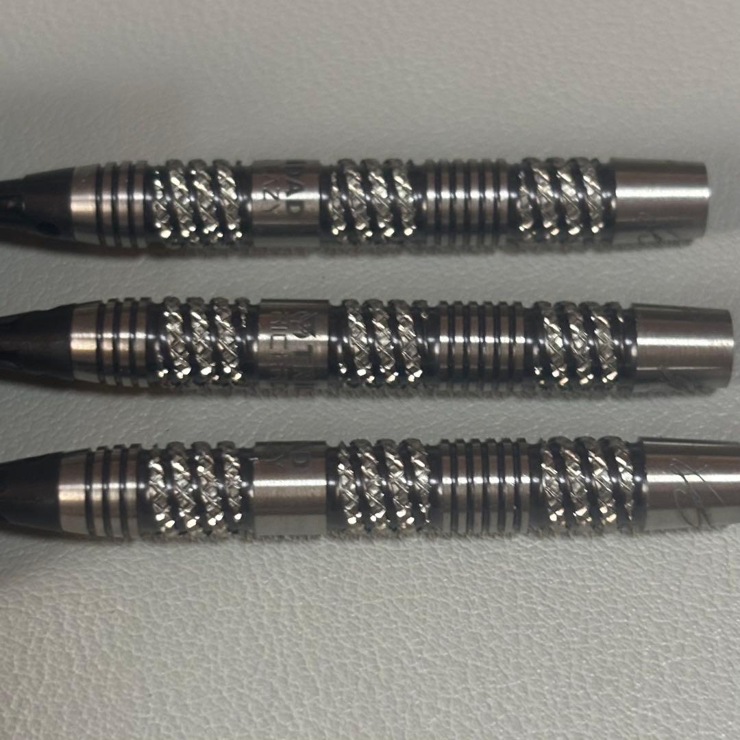 ダーツバレル トリニダード リカルドレイジー 浅田斉吾×松吉輝宗 エスダーツ限定