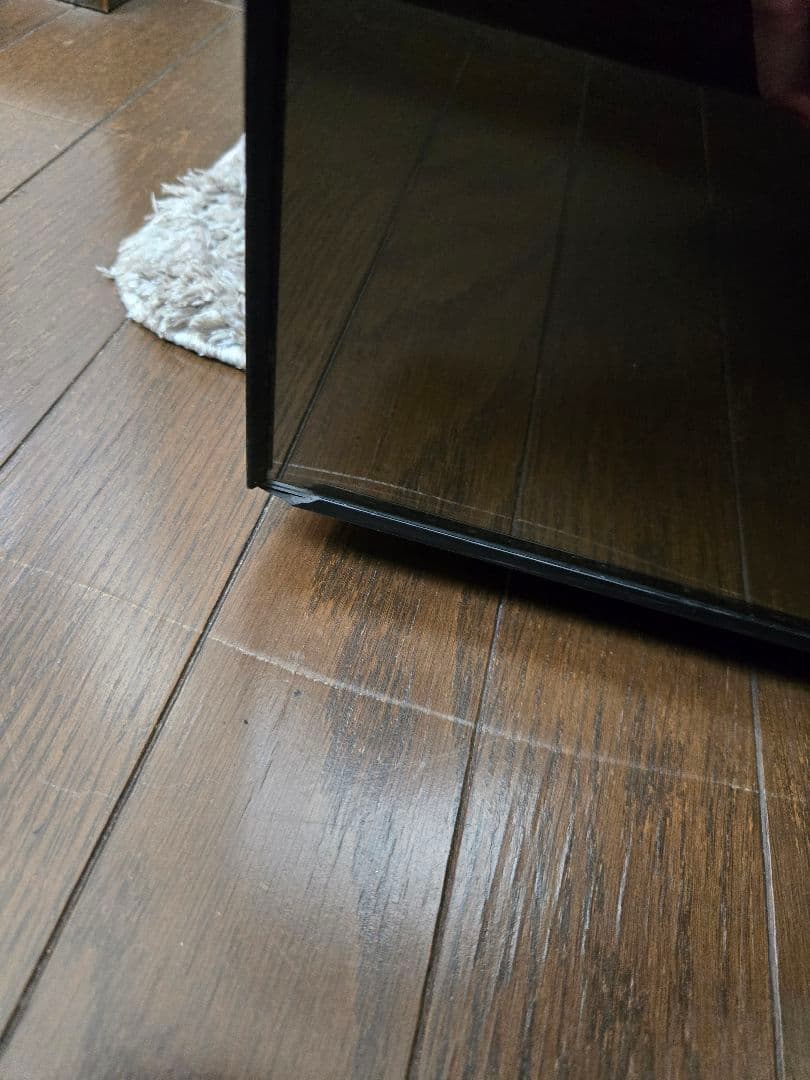 ワインセラー コンポジット クワガタ　飼育