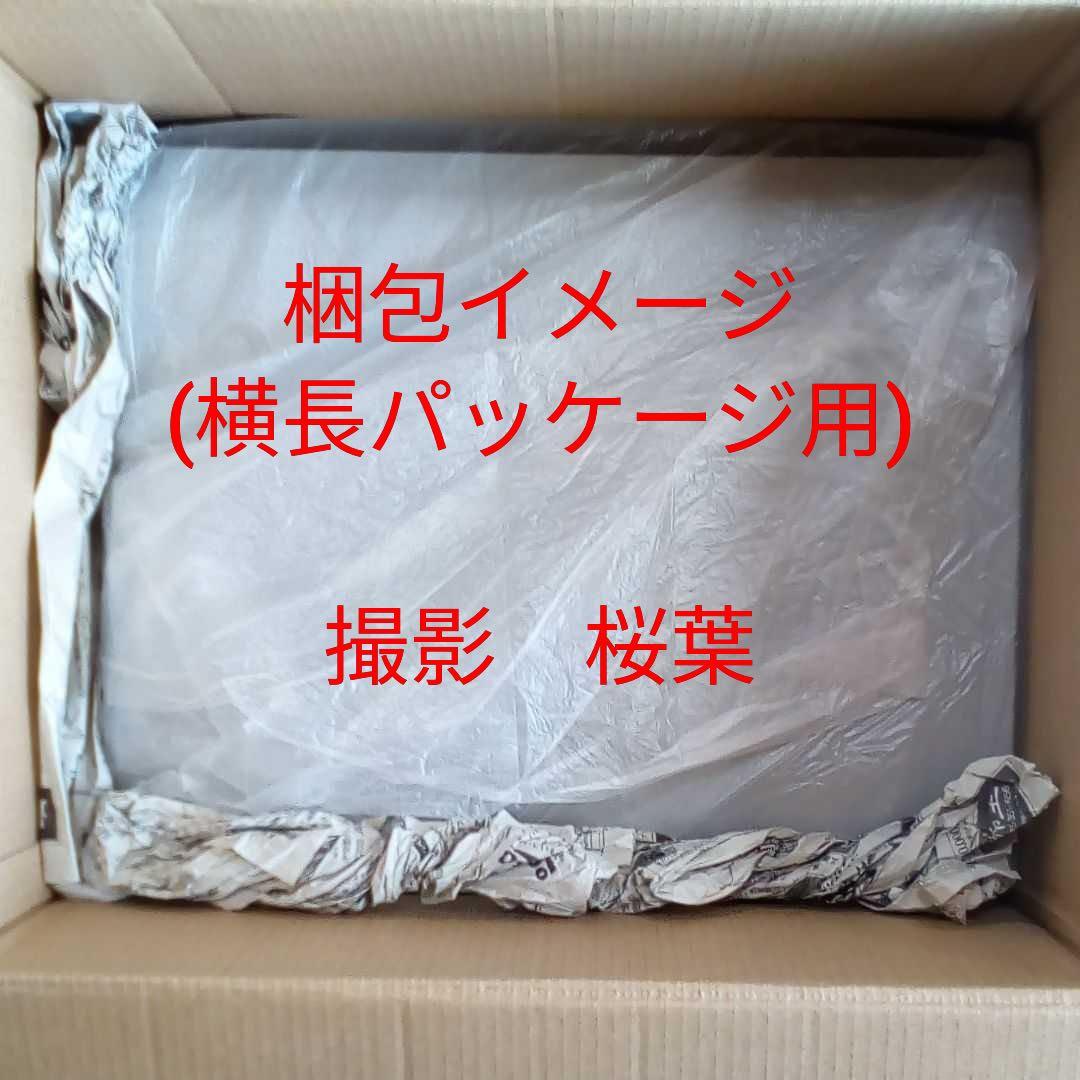 ガンプラ mg ザクウォーリア ブレイズザクファントム 未組立 内袋未開封