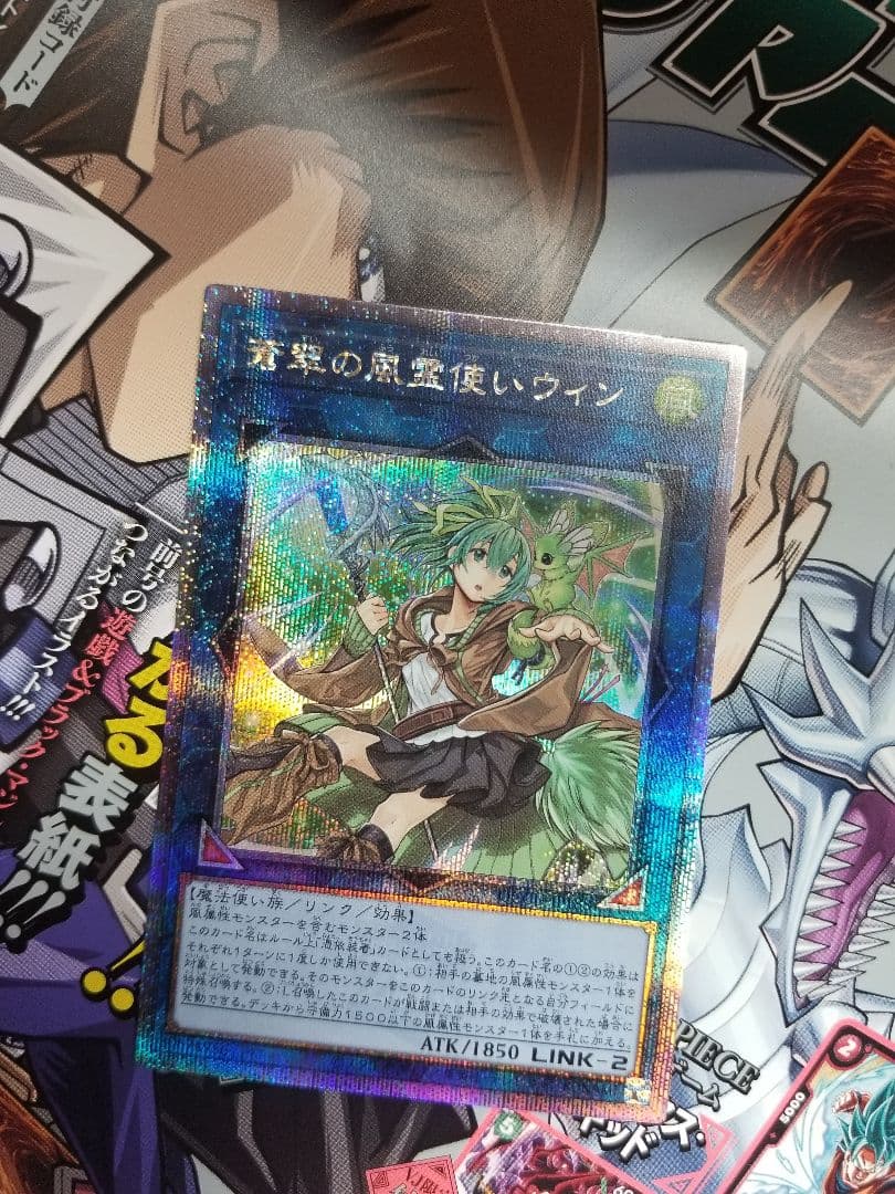 【美品！匿名配送！好評価出品者！】蒼翠の風霊使いウィン　25thシークレットレア