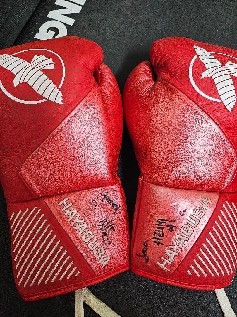 HAYABUSA ボクシンググローブ 8oz