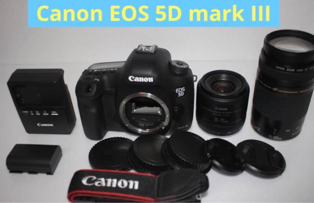キャノン Canon EOS 5D MarkIII標準＆望遠ダブルレンズセット