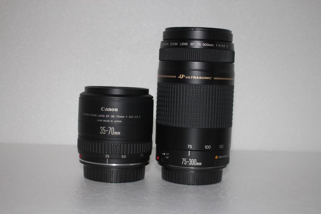 キャノン Canon EOS 5D MarkIII標準＆望遠ダブルレンズセット