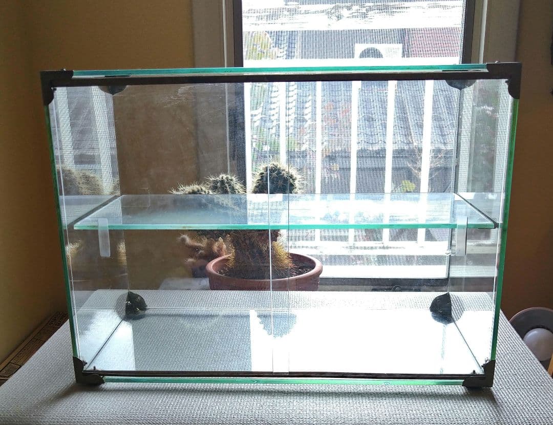 （ameo）古いガラスケース 小型 ショーケース 2段ラック 当時物