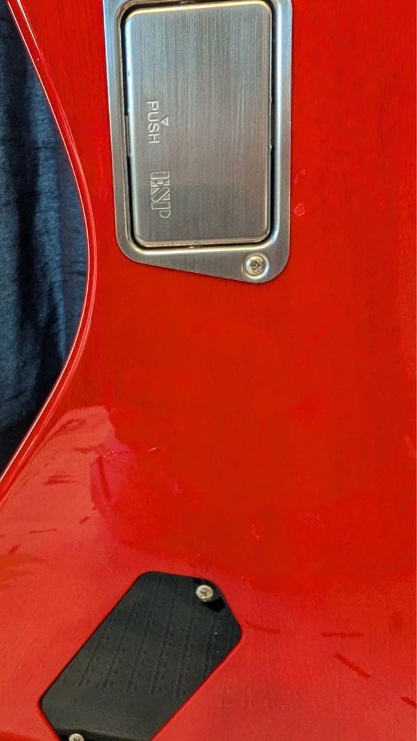 L'Arc～en～Ciel TETSUYA EDWARDS BUZZ BASS